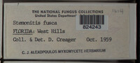 Image Associated With the Occurence